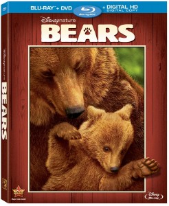 disney bears