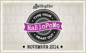 nablopomo 2014 logo