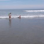 The Beach In Maine