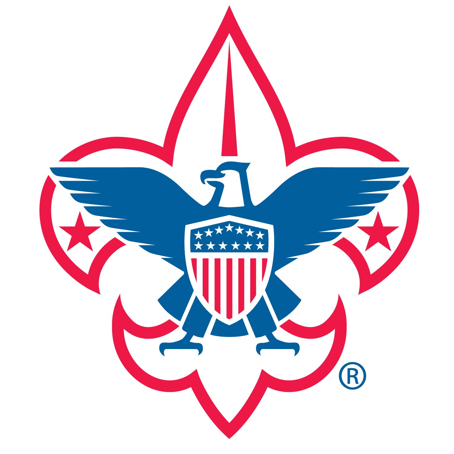 Turning Girls Into Boy Scouts?