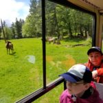 Northwest Trek